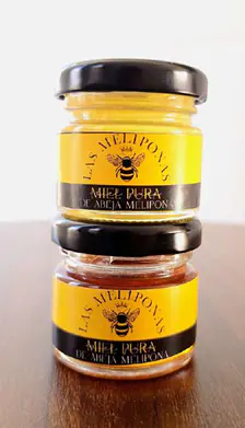 Miel de abeja melipona 30ml - Imagen 1