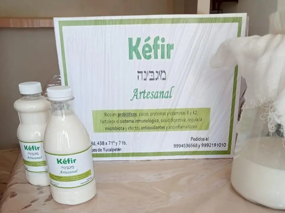Botella de kefir ( 1 litro ) - Imagen 2